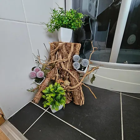 Apartment Holz Haus Naehe Wien *